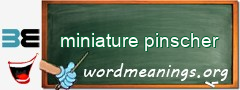 WordMeaning blackboard for miniature pinscher